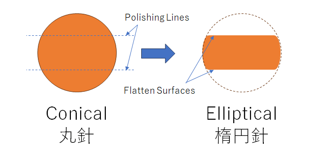 針先の断面図。針幅を維持したまま横長の楕円状になる(説明のために研磨部を強調)